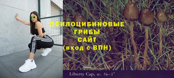 PSILOCYBIN Абаза