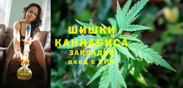PSILOCYBIN Абаза