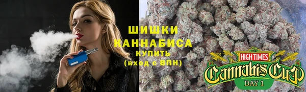 PSILOCYBIN Абаза