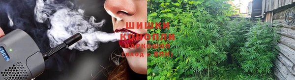 PSILOCYBIN Абаза