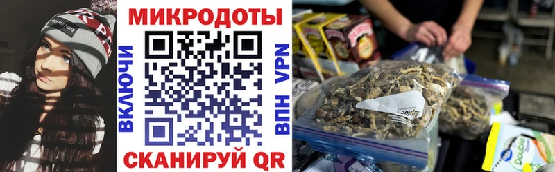 купить  цена  Чулым  Псилоцибиновые грибы мицелий 